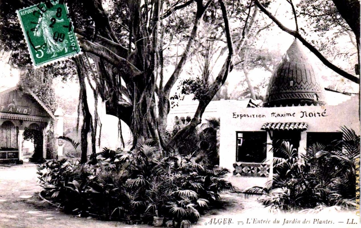 Alger - Jardin des Plantes - Entree - 1909.jpg